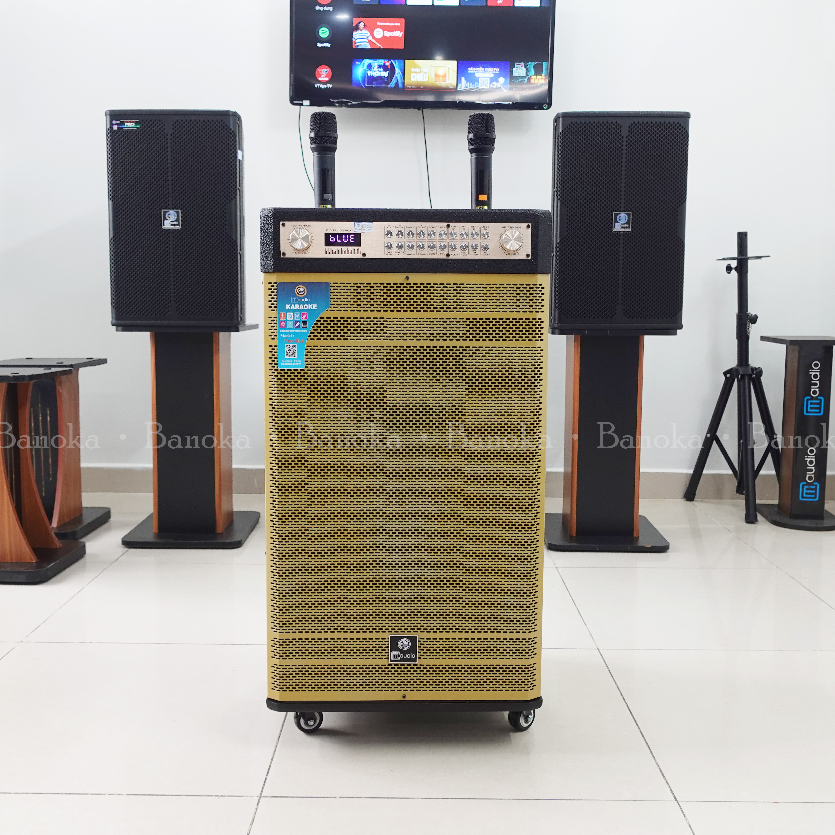 Loa kéo CM Pro 40A - Bass 40 3 ĐT - Vỉ mạch số chỉnh tay chi tiết